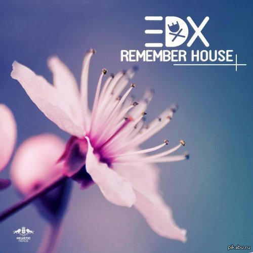    Deep House      Deep House,    http://elmusic.su/edx-remember-house