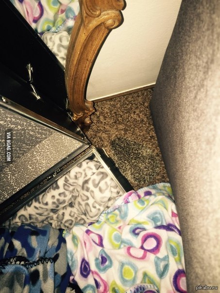 Кто тут у нас?