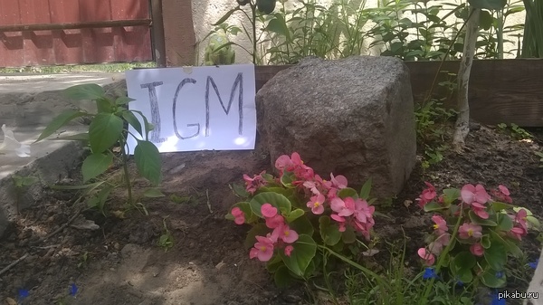 ������� �� ������ �������