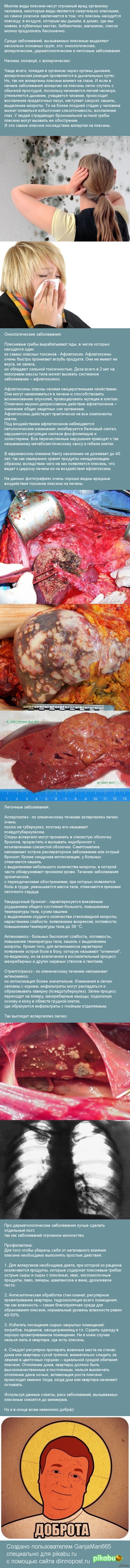 Плесень: вред и польза, часть II. | Пикабу