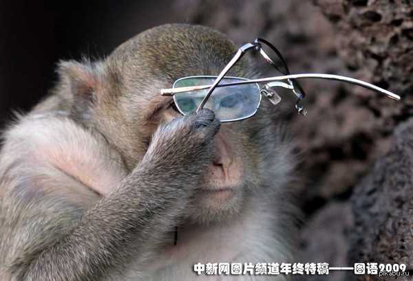 Добродеев не знает что делать со стеклянным х*ром!