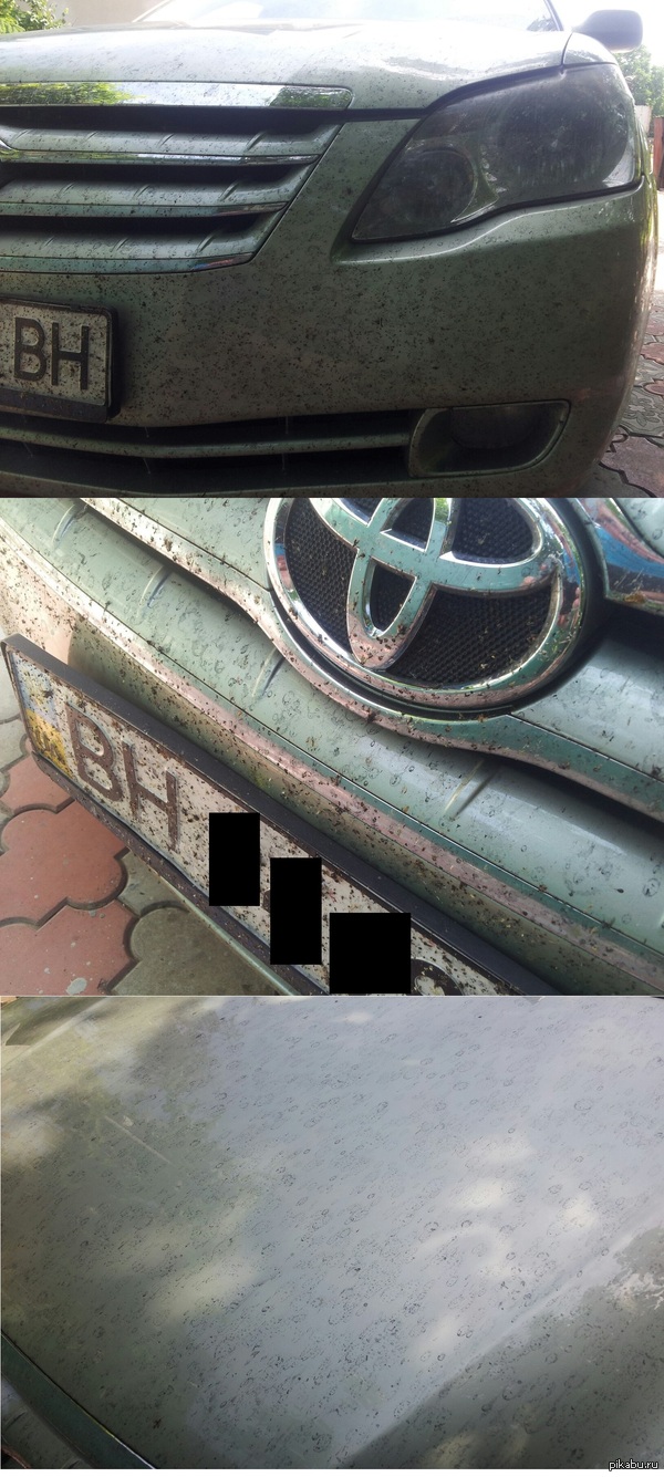 ������� � ������ ��� ������