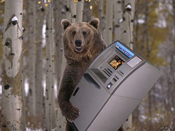 ��� ��� � ������� �������!