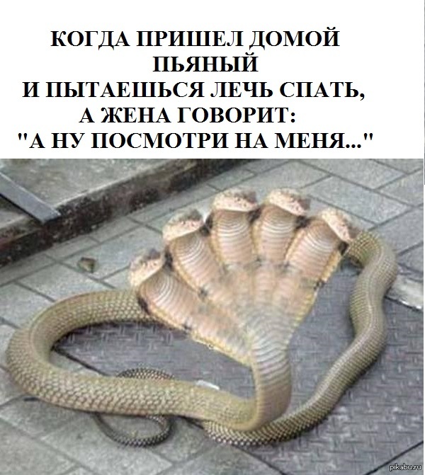  ,    ... 