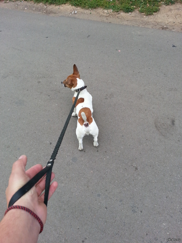 ���������� �����. ������ �� ����