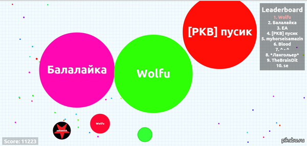 [PKB] pussy I'm looking for you! (wolf) - Agario, Important, Relief league, Pusik, Wolfu, Balalaika, Help, People search
