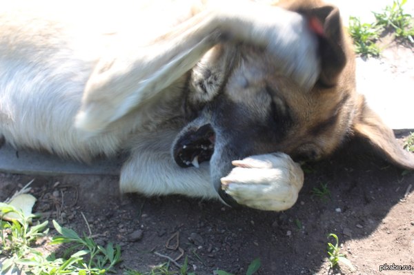 ������ ������ ������� ���� ����� ���������� ������ �� ����....