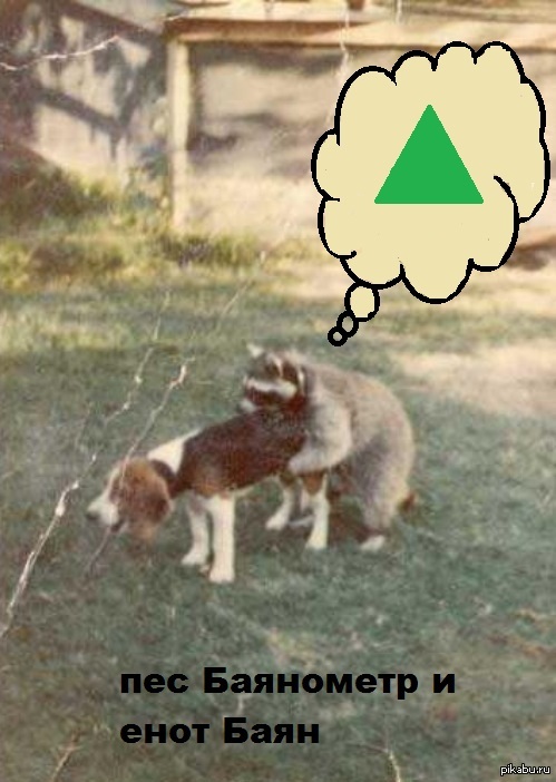 собака не понимает цель охоты. худшая охотничья собака. собака не понимает цель охоты. демотиватор охотник. станции притравки собак.