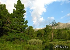 ������ ���� � �������,1500 ������ ��� ������� ����.