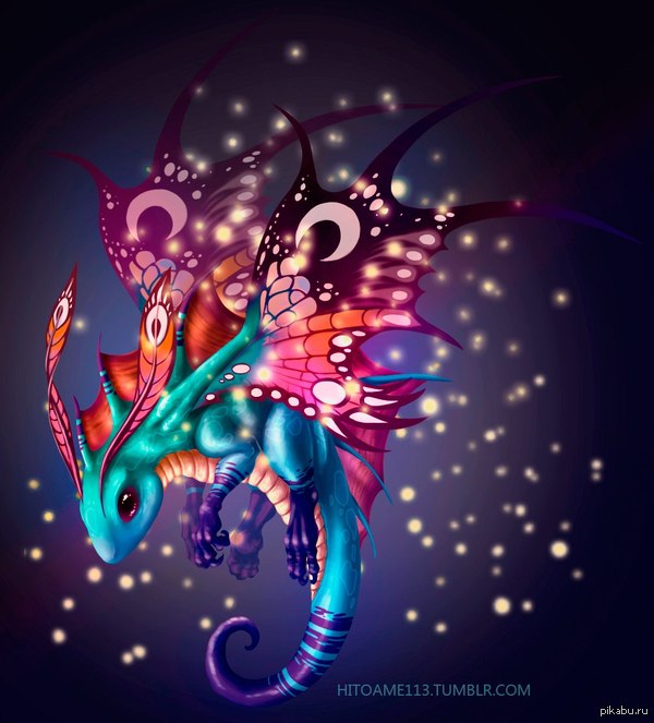 Brightwing going! going going~