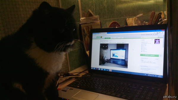 ������� �������