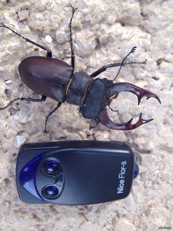 ����� ���, � ����� ����� )