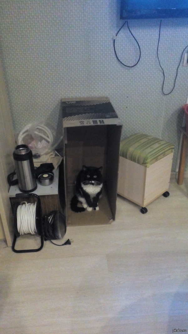 ����� ������ ����, ����� ������� ���� �� �����