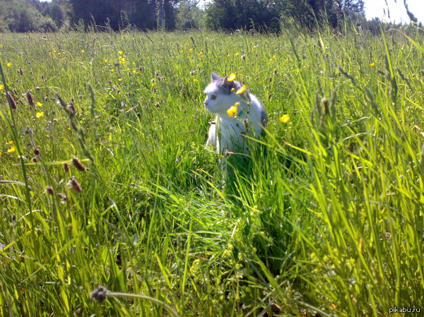 ����� �������� �� ����� ���� �� �������.