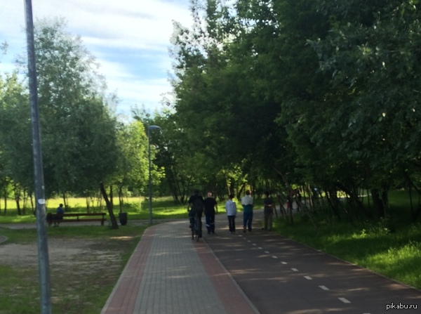 Велодорожка в парке около проезда Дежнева, г. Москва. Фотографировал на iphone 5s издалека.