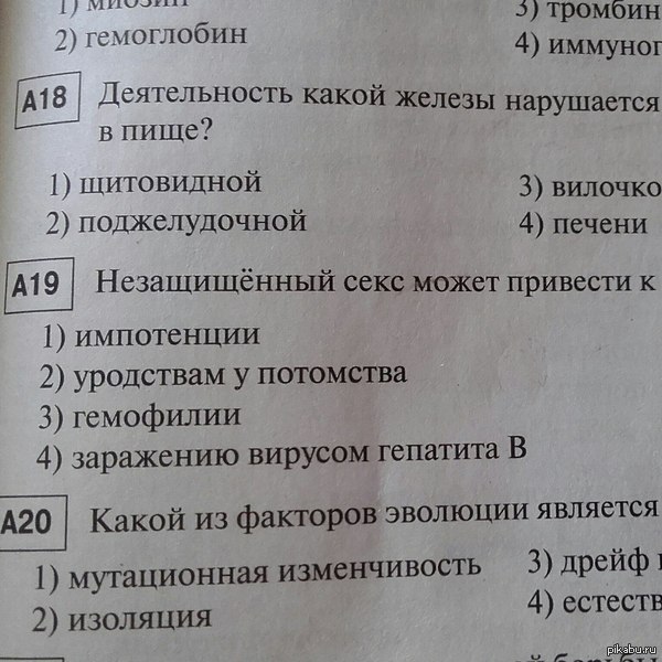 Сексуальные тесты для мужчин и женщин: для чего нужны и как проходить