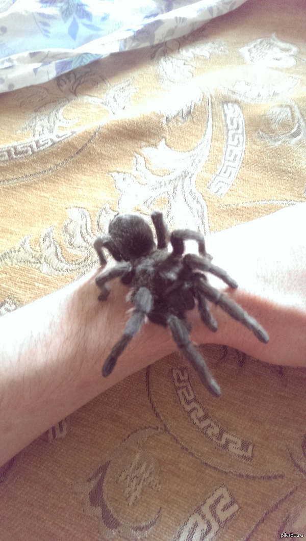 ����� ���� ����� ������������ � �����.