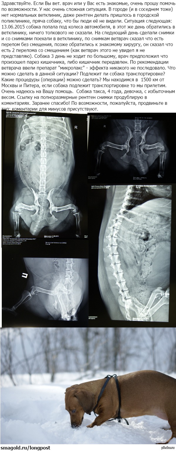 ���. ���� ��� �������. ����� ������.