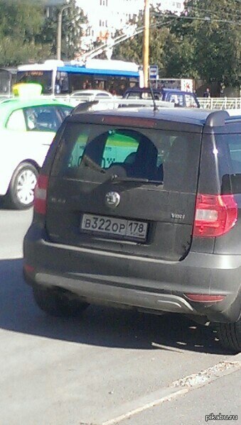 ������ ����