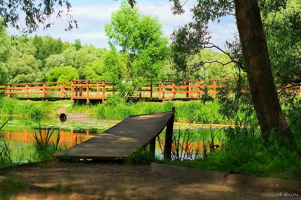 Это Родина моя,говорю вам смело я !)