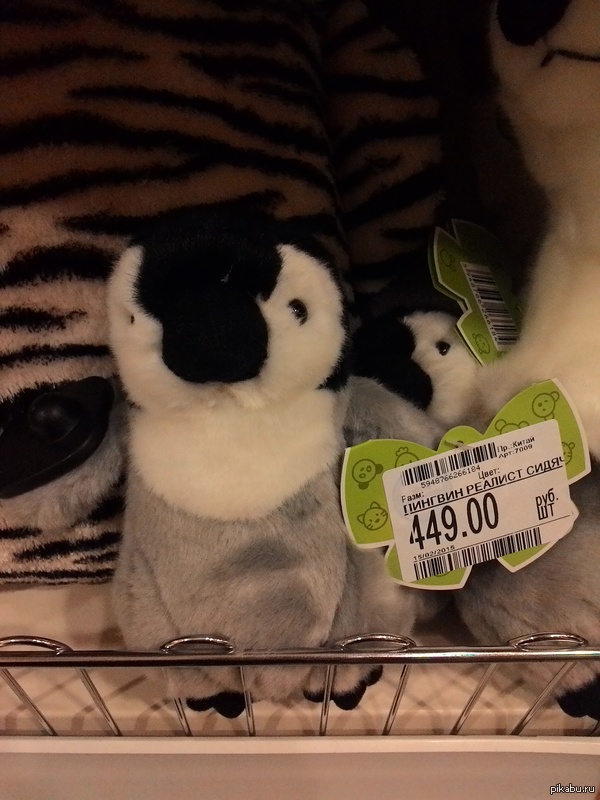 �������-�������