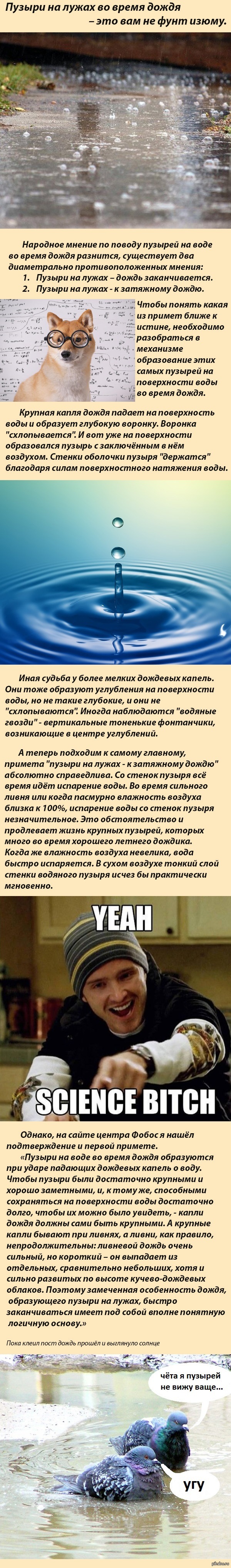 Пузыри на лужах