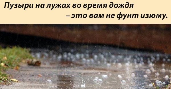 Почему пузыри на лужах