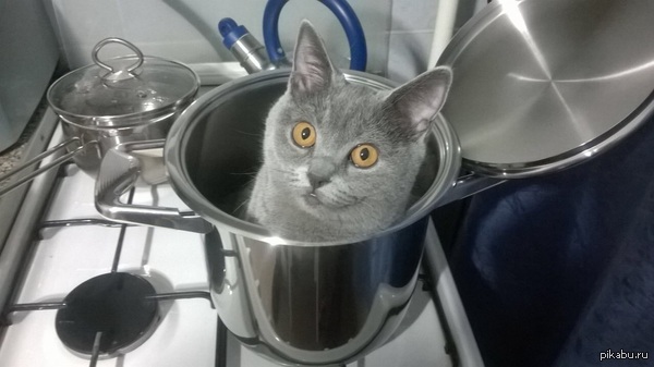 Всего-то стоило отлучиться на минуту