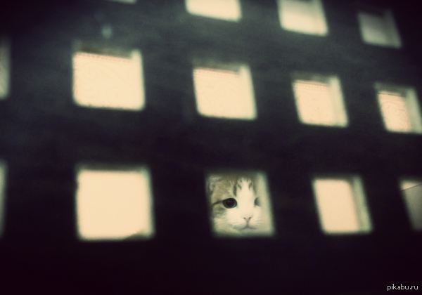 Если долго вглядываться в бездну, бездна начнет вглядываться в тебя