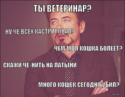 Ветеринар смешные картинки