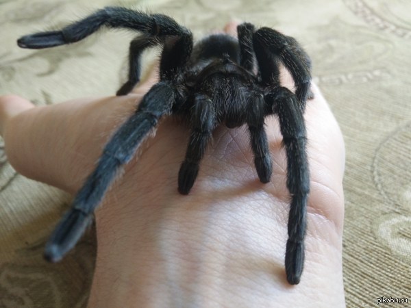 ����� ���� ����� ������������ � ����� #2