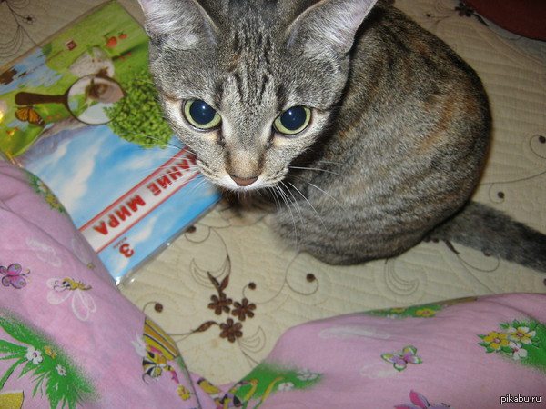 ��������