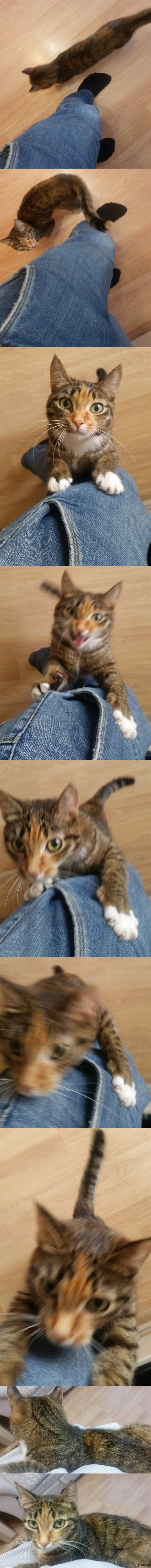 ,   ,     ...