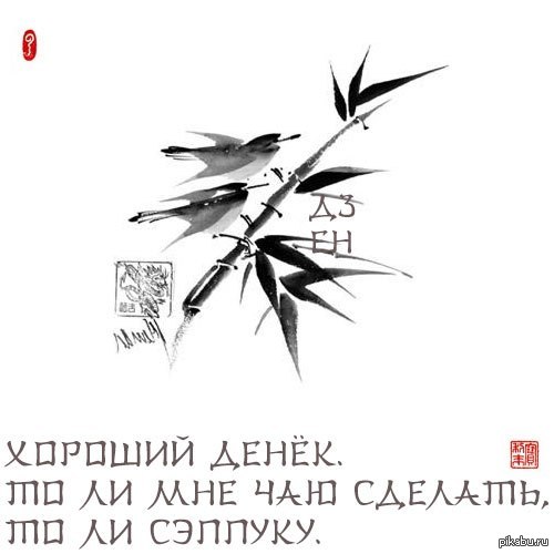 Дзен 18