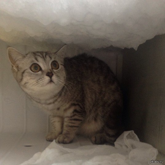 "�� ���� ��� ������� ���������,������,������� �������!")))