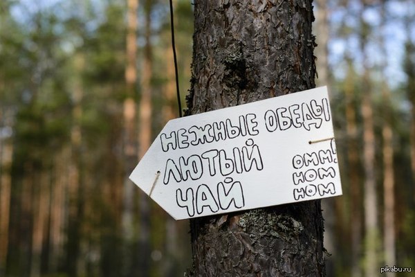 �������_��������_����