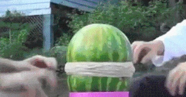 Watermelon Fuck