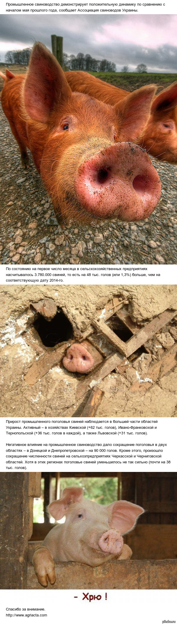 Позитивные новости с Украины.