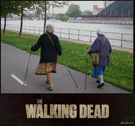 The Walking Dead  