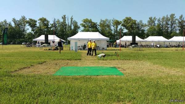 А меж тем, в Пушкине идёт фестиваль по Р\У Вертолётам. Завтра тоже будет))