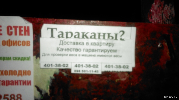 ����������