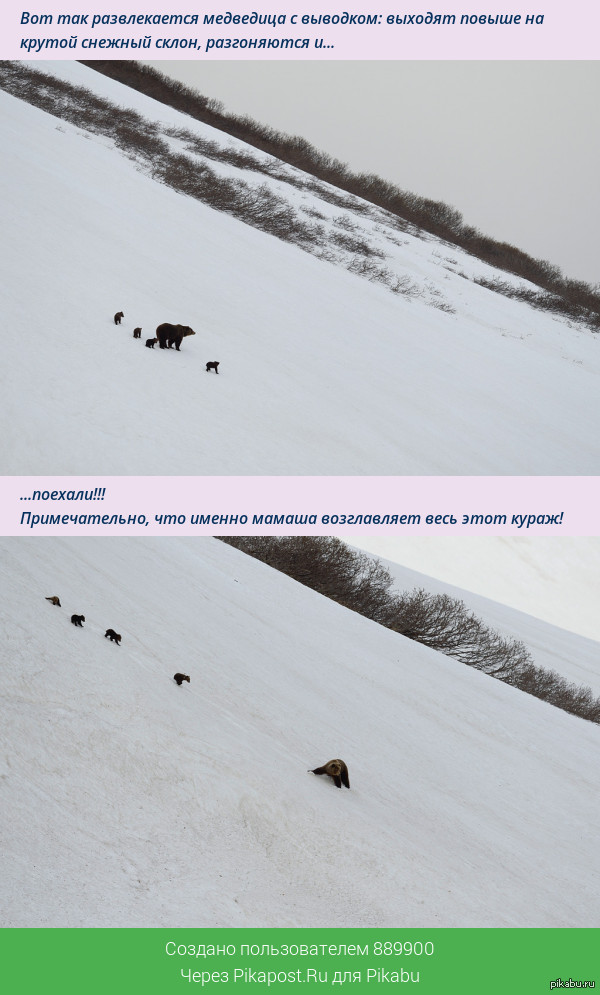   =)   : <a href="http://pikabu.ru/story/_3426874">http://pikabu.ru/story/_3426874</a>