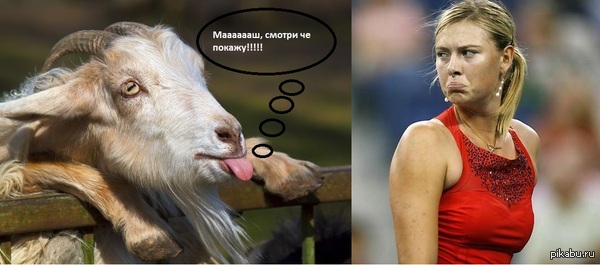 � ���������� ���������� ��� ��� �������� ����� ����! � ��������� ����� �������� ����.