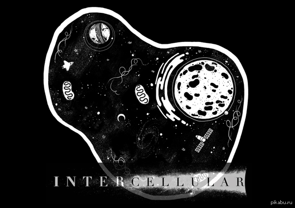 Intercellular - Interstellar, Biology, Cell, Shutkiza200, Cell, Biology, Humor