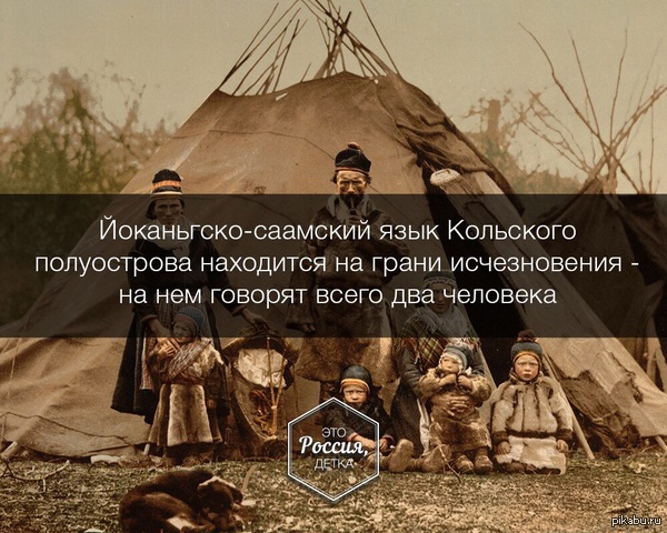 ����������-�������� ����.