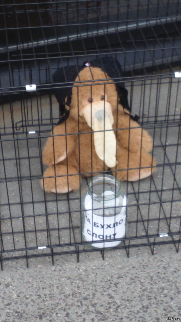 ������ �������������� "����".