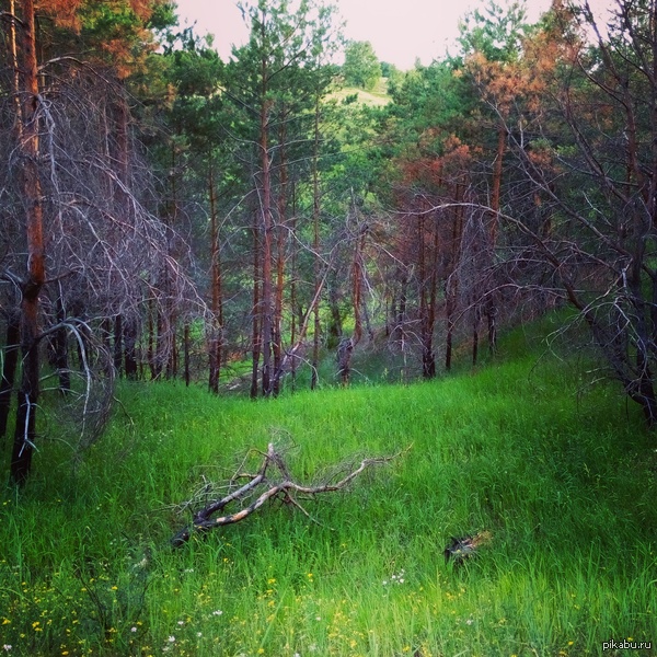 ������ ���.