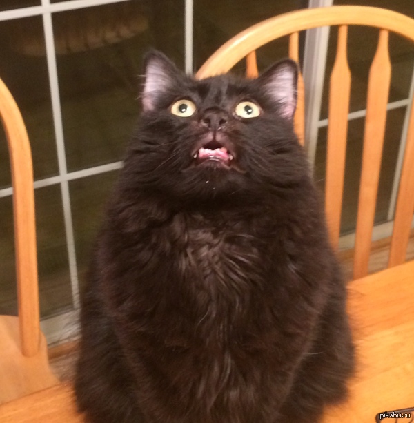 &quot; ,    ...&quot; 