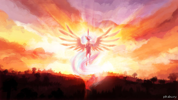 Summer Sun Celebration