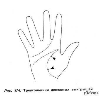 ��������� �������� ���� )